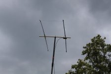 IMG_5510.JPG
