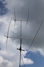 IMG_5515.JPG