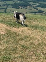 IMG_4008.jpg IMG_4008.jpg
