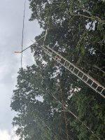 PXL_20250627_201009917.jpg