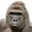 :harambe: