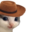 :meowdy: